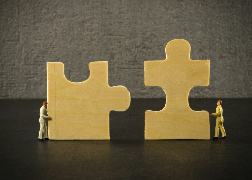 solving the problem. solving WordPress plugin conflicts
